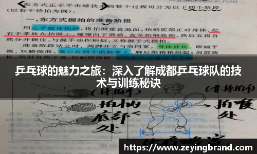 乒乓球的魅力之旅：深入了解成都乒乓球队的技术与训练秘诀